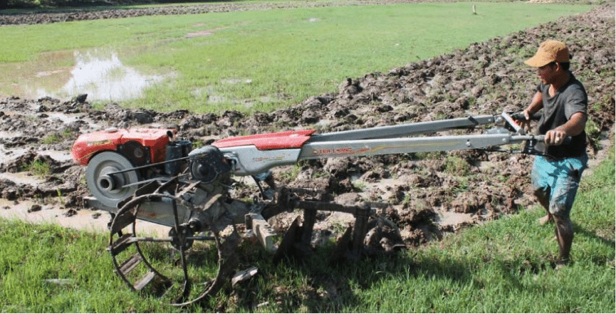 These incredibly efficient hand tractors make life easy for farmers rendering draft cattle and buffalo largely redundant.