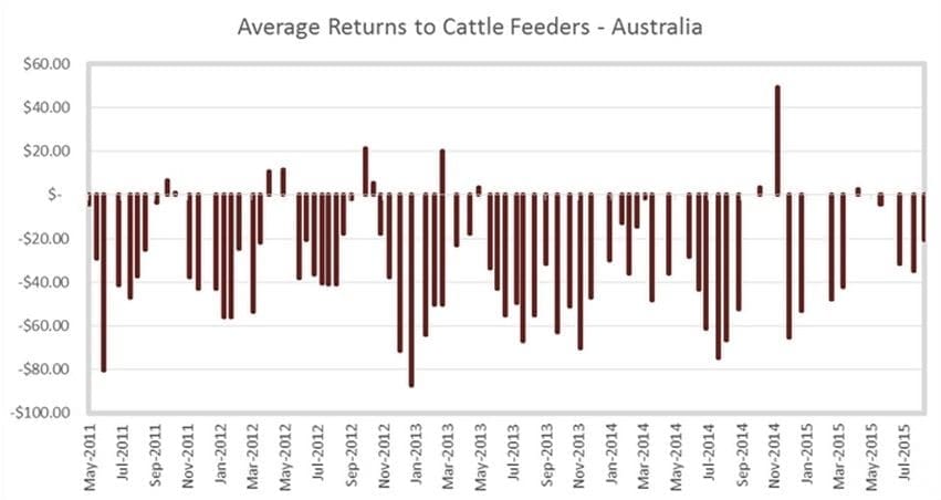 Average returns to cattle feeders