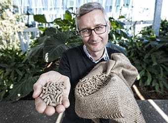 Associate Professor Robert Speight will use a new gene editing technique to boost feed for livestock.