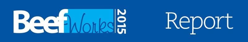 BeefWorks 2015 Report
