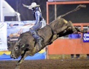 2015-10-30-bucking-bull