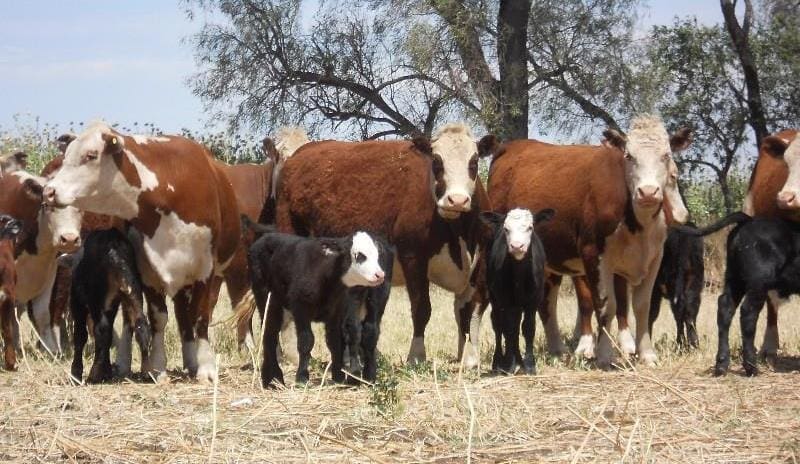 AuctionsPlus 23 Oct 15 2
