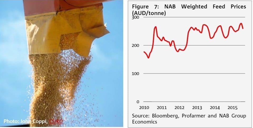 NAB feedgrain