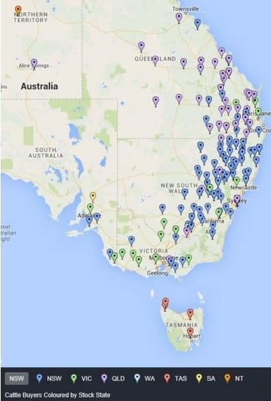 Auctionsplus cattle movements
