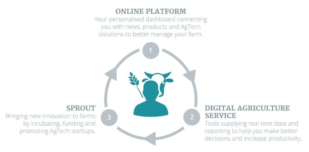 NFF Digital Transformation