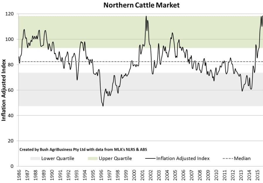 Northern cattle market