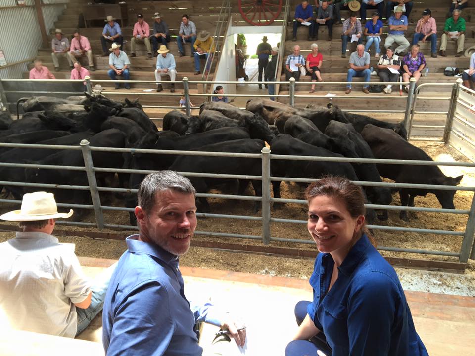 Vendors Dominic and Kate Roche watch Wednesday's Jeogla Wallamumbi sale, interfaced on AuctionsPlus