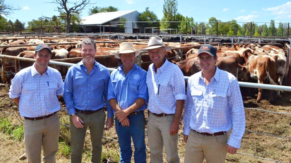 Pictured after this week's Jeogla feature steer sale interfaced on Auctions Plus were from left, Ben Hiscox(Bob Jamieson Agencies), Dominic Roche and Richard Braham (Jeogla), Bob Jamieson and Kieran Te Velde (BJA).