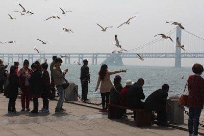 The picturesque peninsula city of Dalian is a popular destination for Chinese tourists.