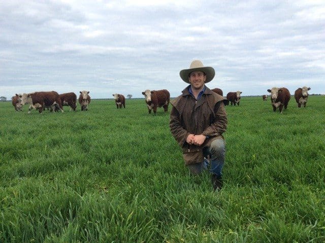 Geoff Birchall, from Avignon Hereford Stud, Loomberah, NSW. Picture: Hereford Australia.