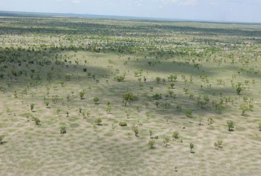 Open country on Aroona, southwest of Katherine, which is being offered with 14,000 cattle