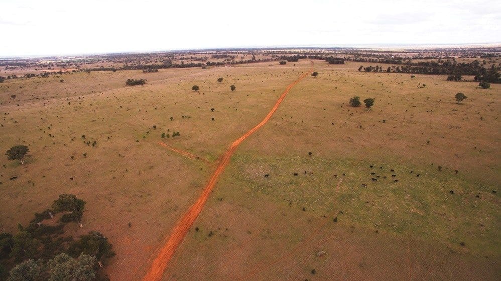 Drone's perspective of developed buffel country on Bracco, looking south.