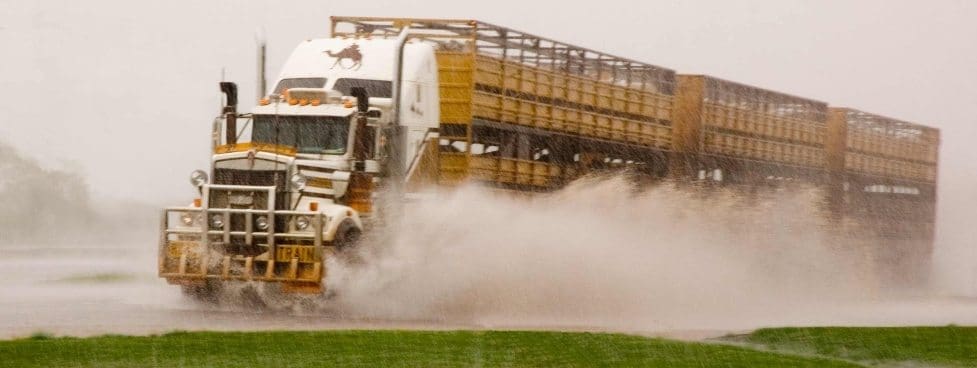 Conditions like this have been common for slaughter cattle transport in the past few months