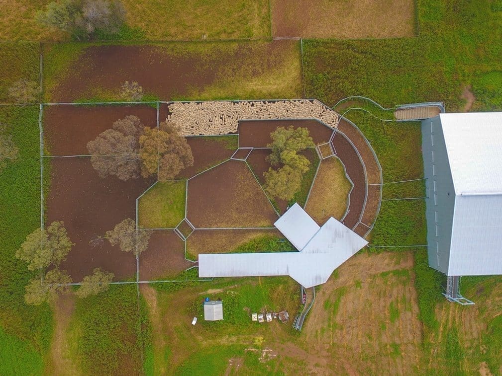 Drone view of sheep yards on Pier Pier