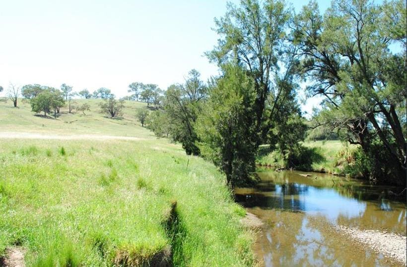 Another recent sale illustrating the current market trend was The Cliffs, a well-established highly productive 271ha mixed farming grazing property near Molong.