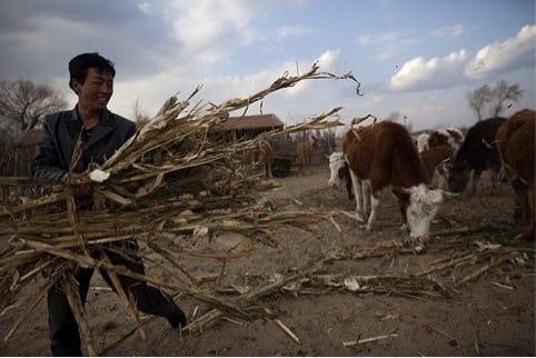 Feb 2017 inner mongoilia drought