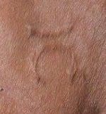 2017-4-7-Stolen cattle 2