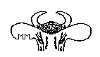 2017-4-7-Stolen cattle 3