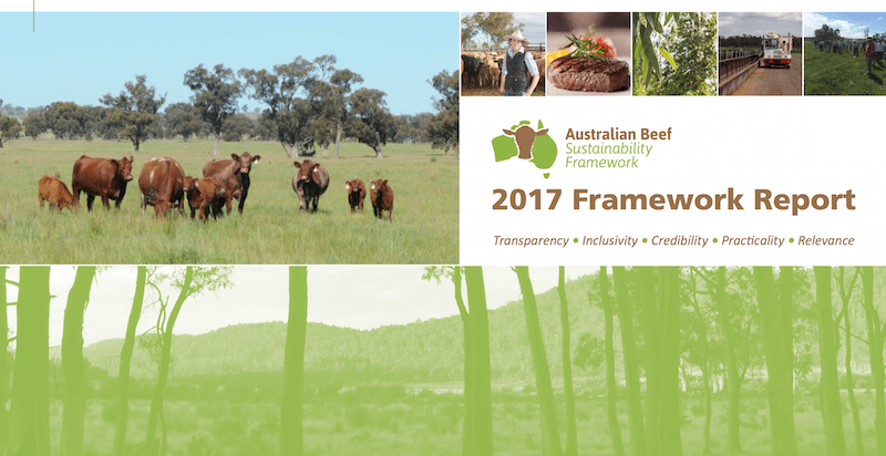 Aus sustainable beef framework report cover