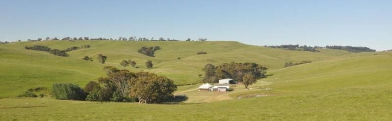The highly productive Casterton district cattle property Doyles, has been bought by a group of small investors under a Crowdfunding project