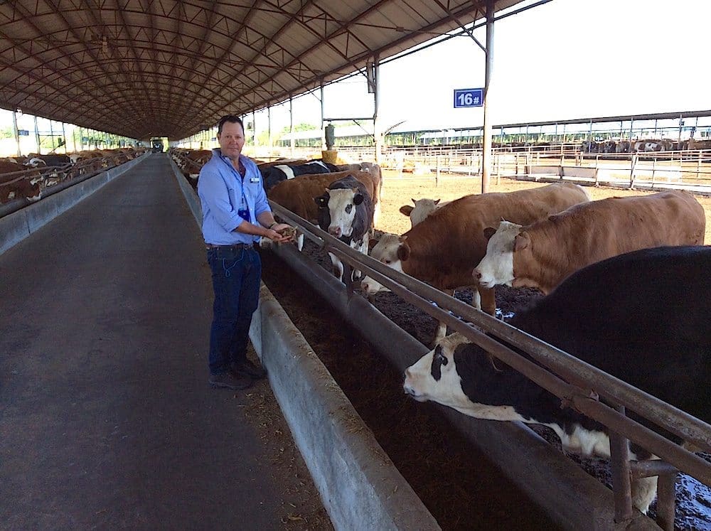 NAB china 2017 John Manchee feedlot