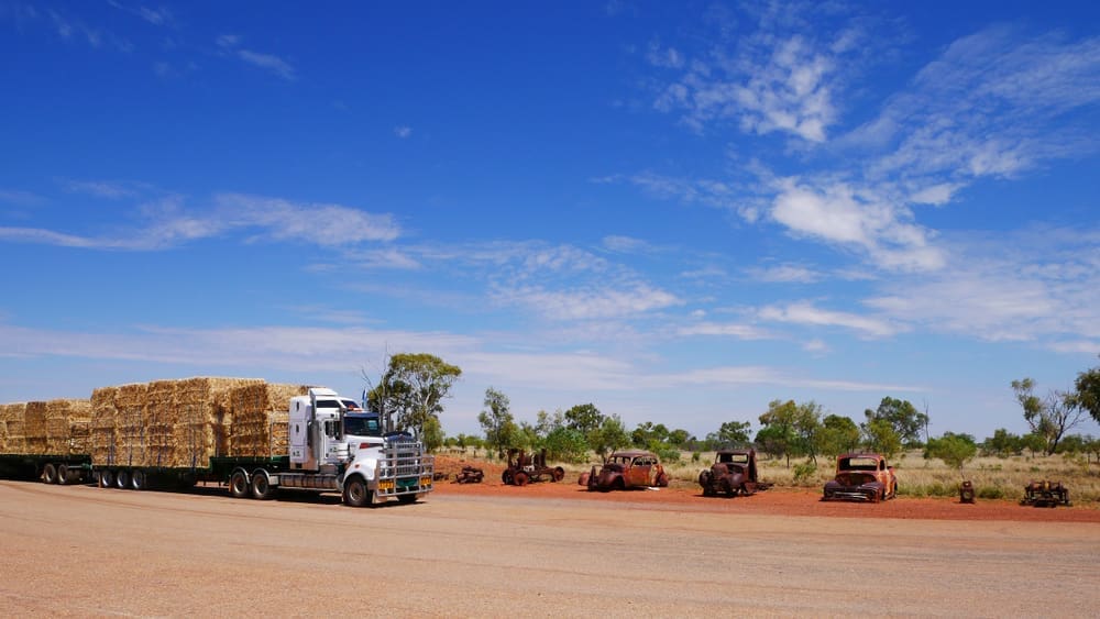 hay, truck, fodder, transport