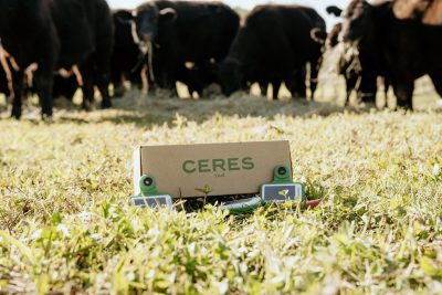 Supplied by CERES Tags