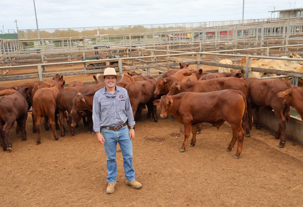 Photo supplied by Maranoa Regional Council Roma Saleyards
