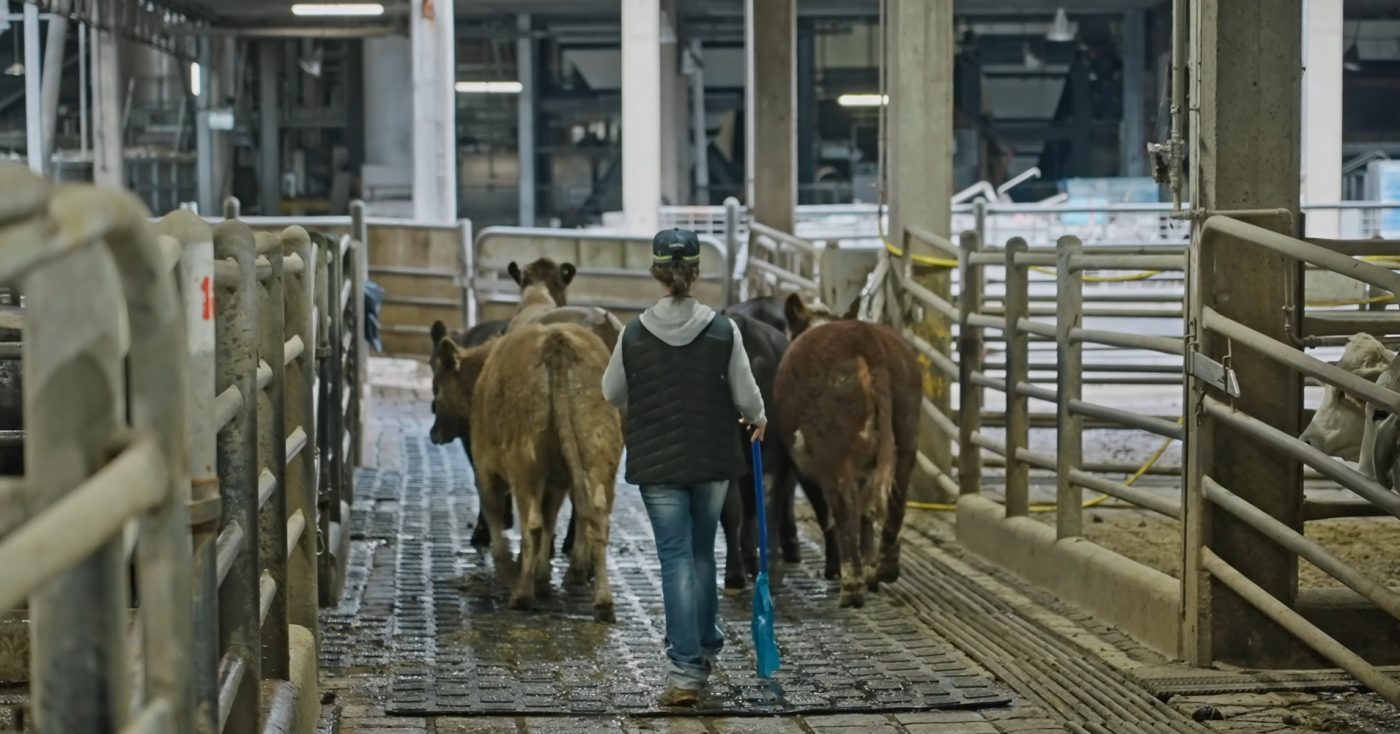 Photo supplied by Numat Agri