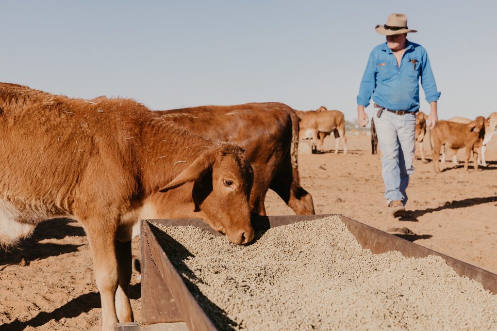 Photo supplied by Milne AgriGroup